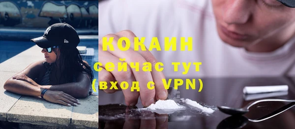 apvp Вяземский