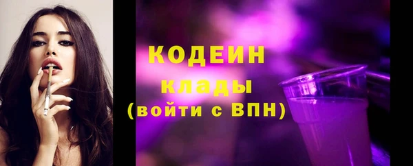 шишки Гусиноозёрск