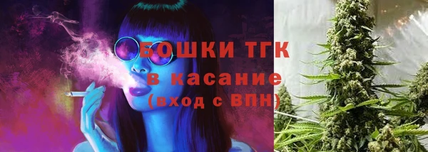 гидра Гусев