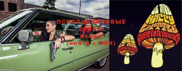 Альфа ПВП Горнозаводск